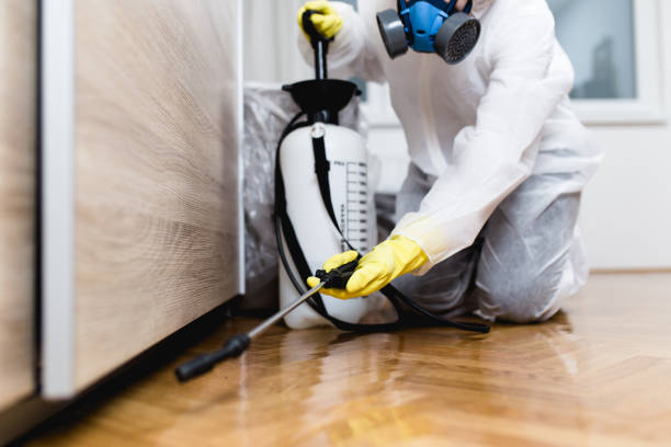 Best Emergency Pest Control  in New California, OH