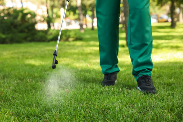 Best Mosquito Control Services  in New California, OH