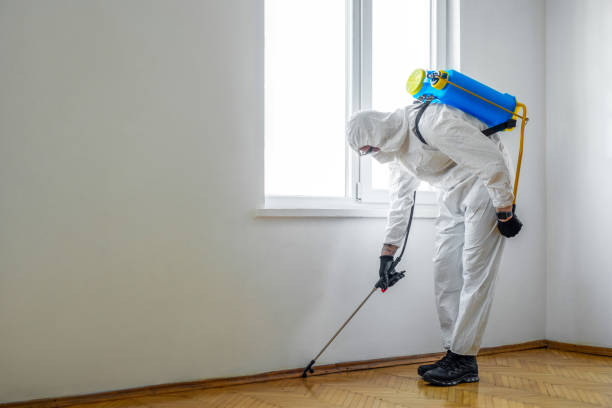 Reliable New California, OH Pest Control Solutions