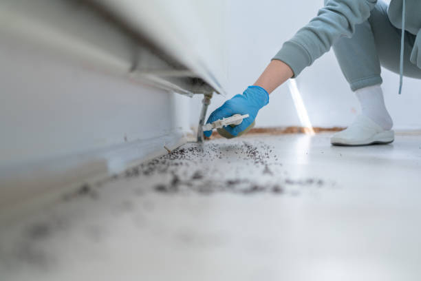 Best Pest Inspection Near Me  in New California, OH